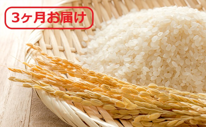 【定期便】広島県安芸高田市産コシヒカリ 精米8kg 3ヶ月お届け