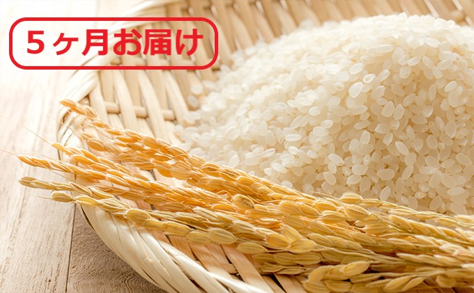 【5ヶ月定期便】広島県安芸高田市産 コシヒカリ 精米 8kg (4kg×2袋)