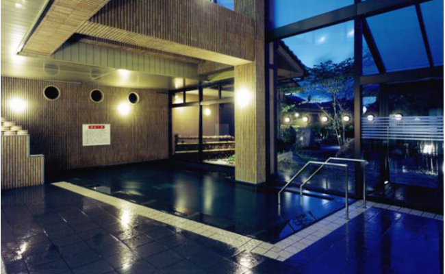 天然ラドン温泉『岩戸屋』入湯ご招待券 11枚 セット