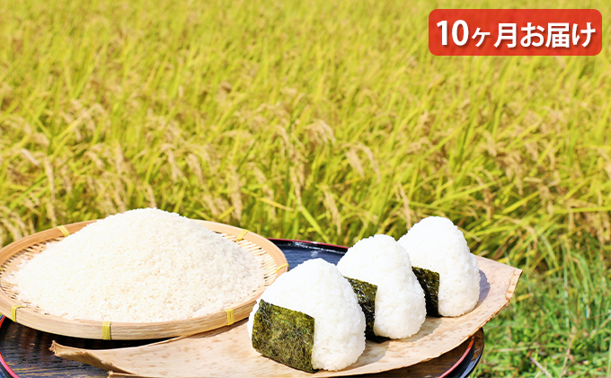 米 【10ヶ月お届け】令和5年産　安芸高田市産コシヒカリ6kg