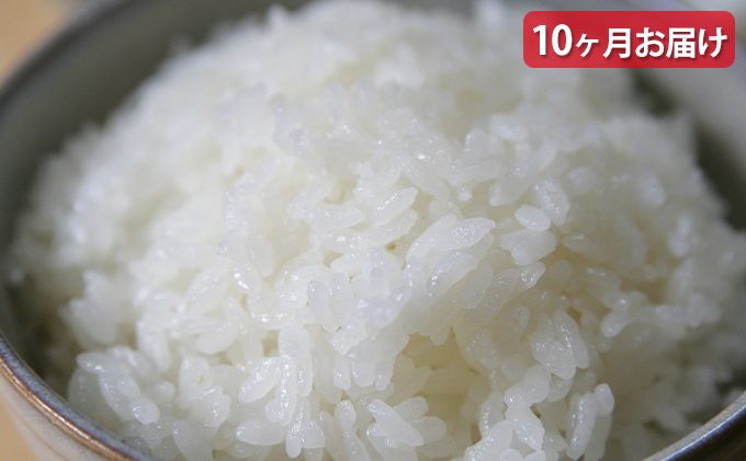米 定期便 10ヶ月 6kg 令和5年 ミルキークイーン 広島県安芸高田市産 白米 精米