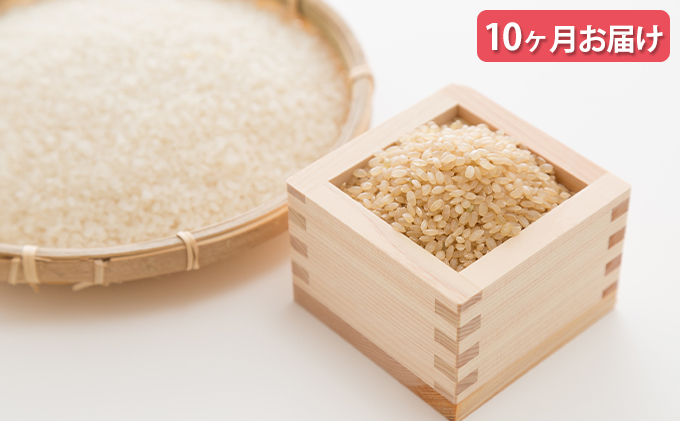 米 【10ヶ月お届け】令和5年産　安芸高田市産コシヒカリ『玄米』6kg
