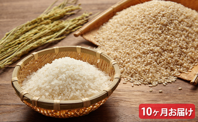 米 【10ヶ月お届け】令和5年産　安芸高田市産ミルキークイーン『玄米』6kg