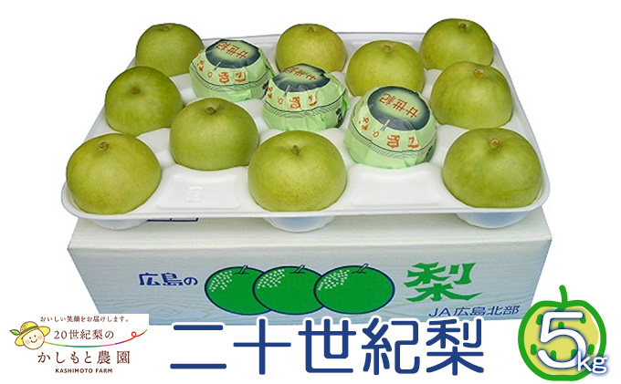 ●先行予約●安芸高田市【かしもと農園】二十世紀梨 5kg