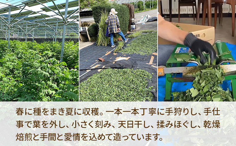 ときこばあちゃんの向原川之内 はぶ草茶 75g×5袋 茶葉 お茶 ハブ草茶 ノンカフェイン 国産 無農薬 広島 安芸高田市
