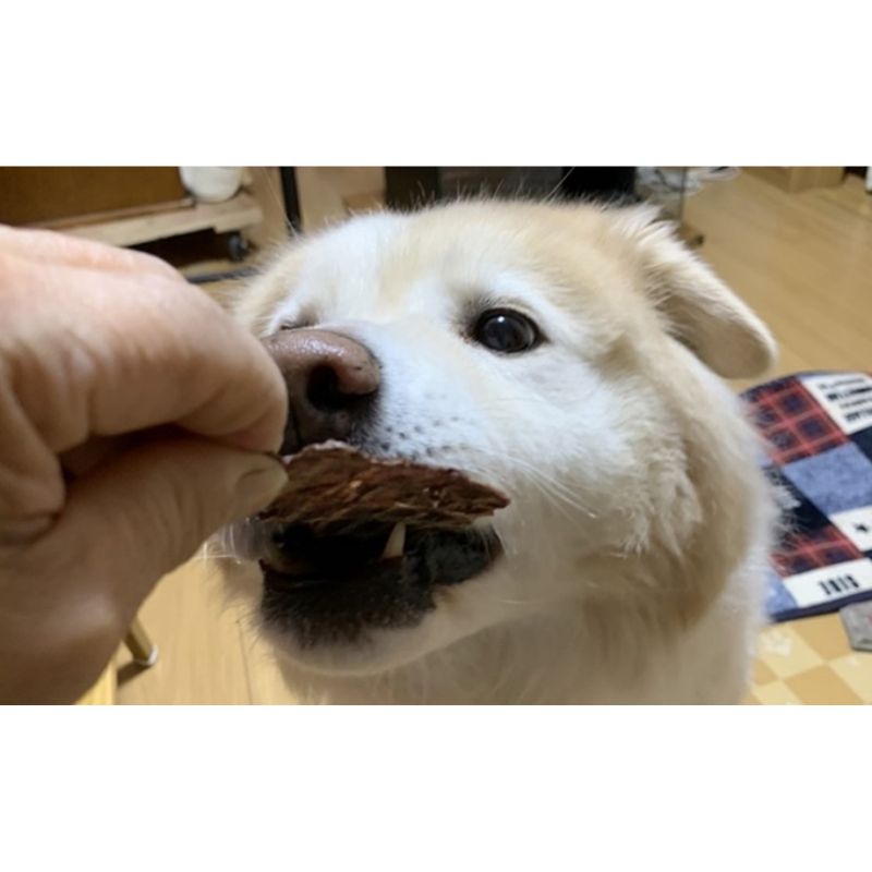 鹿の内臓ジャーキー4点セット 犬 犬用 おやつ 鹿肉 内臓 ジャーキー 干肉 干し肉 乾燥肉 国産 広島 安芸高田市