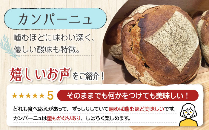 こだわりの石窯焼き！【全3回定期便】江田島のパン屋のこだわりパン 詰め合わせ Aセット (計9個) パン パン屋 カフェ 朝食 おやつ 江田島市/しまのぱん souda！ [XAQ013] 定期便