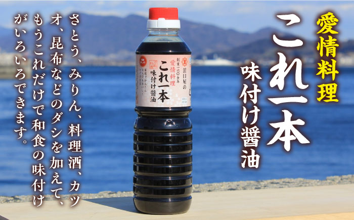これ1本で美味しい味付け！これ1本味付け醤油 500mL×5本 江田島市/有限会社濱口醤油[XAA048] 調味料