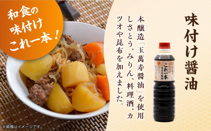 風味を楽しむ！だし満喫セット（牡蠣白だし/白だし/味付け）計3本 江田島市/有限会社濱口醤油 [XAA075] 調味料