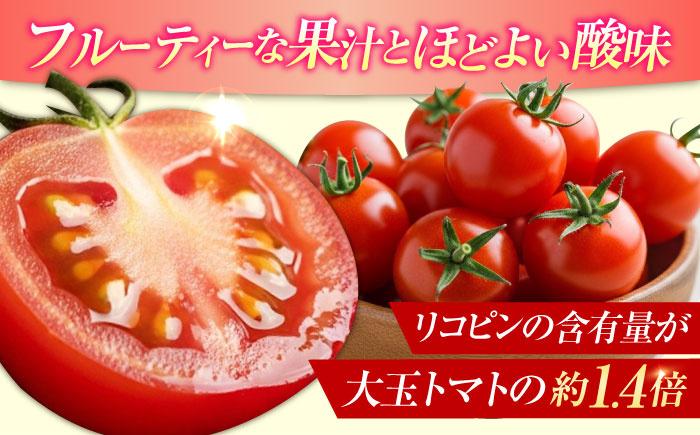 自然を活用した低農薬栽培！ミディアムトマト 3kg 江田島市/有限会社グリーンファーム沖美 [XAB001] 野菜 果物