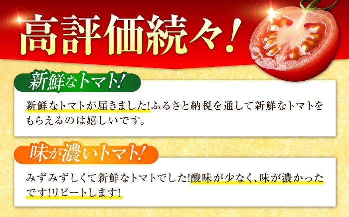 自然を活用した低農薬栽培！江田島ロマーノ トマト 2kg 江田島市/有限会社グリーンファーム沖美[XAB005] 野菜 果物