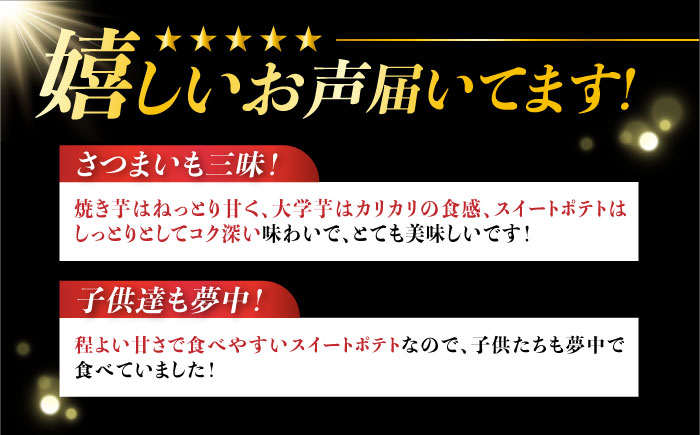 【年内発送】【お歳暮対象】ねっとり濃厚！てくてくのさつまいもスイーツ 3種詰め合わせ さつまいも 江田島市/峰商事 合同会社[XAD008] お菓子