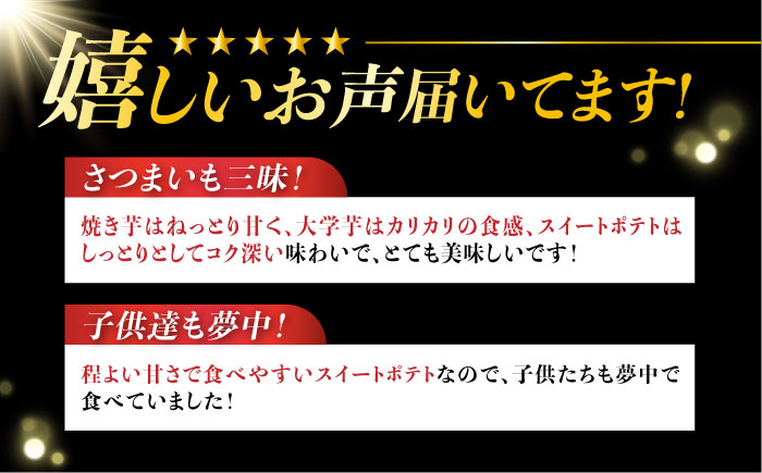 【全6回定期便】ねっとり濃厚！てくてくのさつまいもスイーツ ひとりでも！おためしサイズ3種詰め合わせ 焼き芋 人気 お菓子 デザート ギフト プレゼント 江田島市/峰商事 合同会社 [XAD077]