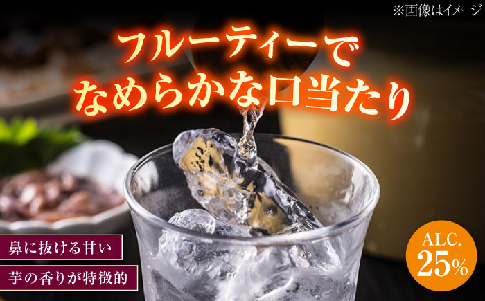 【全12回定期便】スイーツの香り！江田島の本格 芋焼酎 てくてく【安納芋】720ml×2本 さついまいも 人気 酒 食事 ギフト プレゼント 江田島市/峰商事 合同会社 [XAD081]
