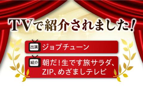 【全6回定期便】テレビで話題！冷凍カンカン焼き 牡蠣 25個入り 江田島市/有限会社寺本水産[XAE037] 定期便