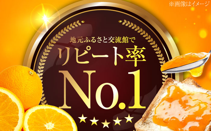 人気のお土産！リピート率ナンバーワン！中下農園の『ネーブルマーマレード』（箱入り・大6個）　みかん 果物 マーマレード ママレード ジャム パン 広島県産 江田島市/江田島市観光協会 [XAI008]