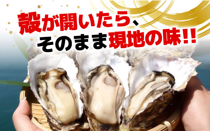 【年内発送】特選 牡蠣三昧！【瞬間冷凍】広島牡蠣　殻付き３kg カキ かき 広島 料理 簡単 魚介類 海鮮 ギフト 広島県産 江田島市/株式会社門林水産 [XAO030] 牡蠣