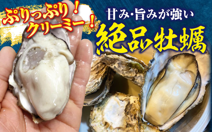 牡蠣 生食 殻付き かき カキ 簡単なのにぶちうまい！【生牡蠣】【訳あり】究極の漁師めし！かきうちの殻付き牡蠣ガンガン焼き カンカン焼き 30個 かき 海鮮 和食 海産物簡単 レシピ 広島県産 江田島市/株式会社かきうち [XBK019]