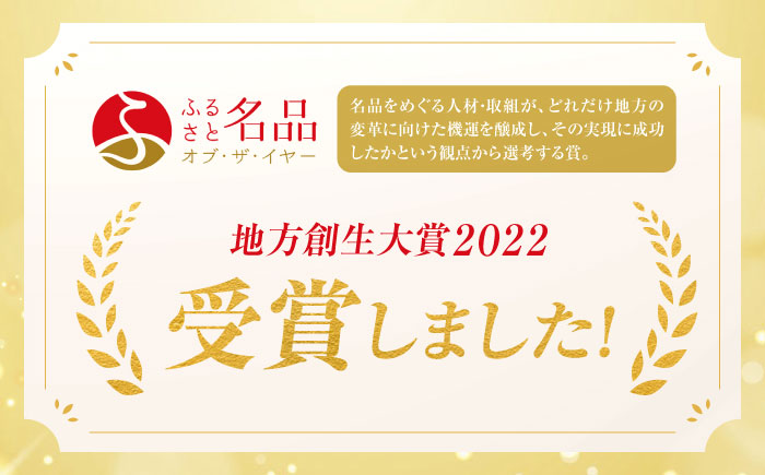 伝統織物の紙布を使用！『Nagi（ナギ）』紙布バッグ チョコ 鞄 かばん カバン バック 広島県産 江田島市/津島織物製造株式会社 [XBN003] 雑貨・日用品