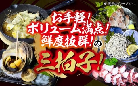 新鮮なお魚盛りだくさん！海鮮詰合せ「梅」 魚介類 海産物 海鮮 刺身 広島 ＜七宝丸＞江田島市 [XBY001] お肉・魚介