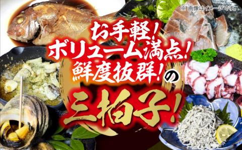 新鮮なお魚盛りだくさん！海鮮詰合せ「竹」 魚介類 海産物 海鮮 刺身 広島 ＜七宝丸＞江田島市 [XBY002] お肉・魚介