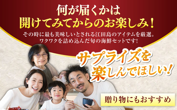 【何が届くかお楽しみ】旬の海の幸 福袋 寄附額3万円相当 魚介類 海産物 海鮮 刺身 広島 江田島市/七宝丸 [XBY006] お肉・魚介