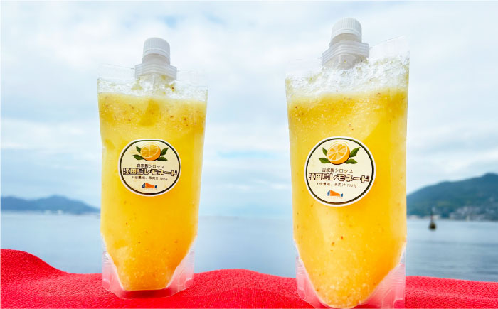 レモンシロップ 400ml×2個 レモン れもん 檸檬 フルーツ 果物 江田島市/七宝丸 [XBY011]