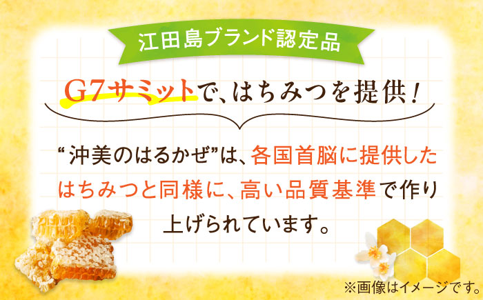 【全3回定期便】まじりっけなし！江田島産100％!はちみつ『沖美のはるかぜ』300g×2本セット ハチミツ ハニー 蜂蜜 国産 広島 江田島市/はつはな果蜂園 [XCD018] 定期便