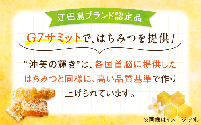 【全3回定期便】まじりっけなし！江田島産100％!はちみつ『沖美の輝き』300g×2本 ハチミツ ハニー 蜂蜜 国産 広島 江田島市/はつはな果蜂園 [XCD024] 定期便