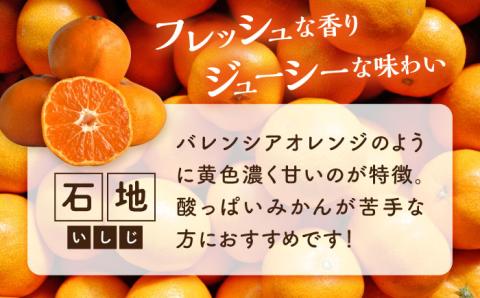 【期間限定】瀬戸内の恵たっぷり！温州 みかん 5kg 石地 中生 ミカン 柑橘＜小原農園＞江田島市[XCE002] 野菜・果物