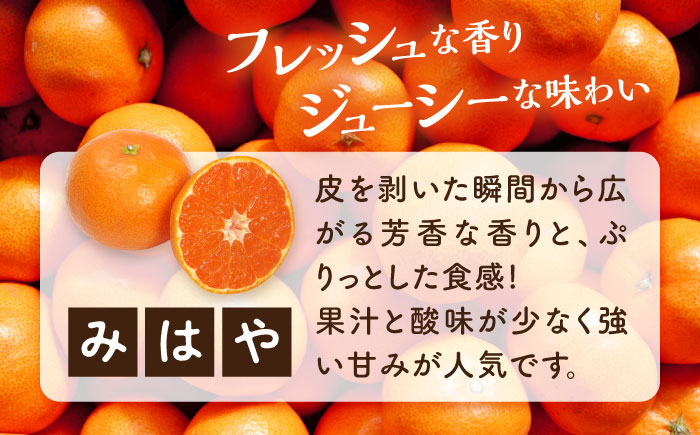 【瀬戸内の恵たっぷり】柑橘 みはや 5kg ＜小原農園＞江田島市 [XCE005] 野菜・果物