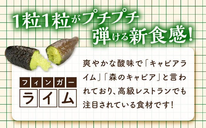 フルーツ 果物 くだもの 新感覚フルーツ！ 森のキャビア フィンガーライム 50g×4パック 柑橘 柑橘類 国産 ライム フルーツ 果物 くだもの 広島県産 江田島市/小原農園 [XCE011] 野菜・果物