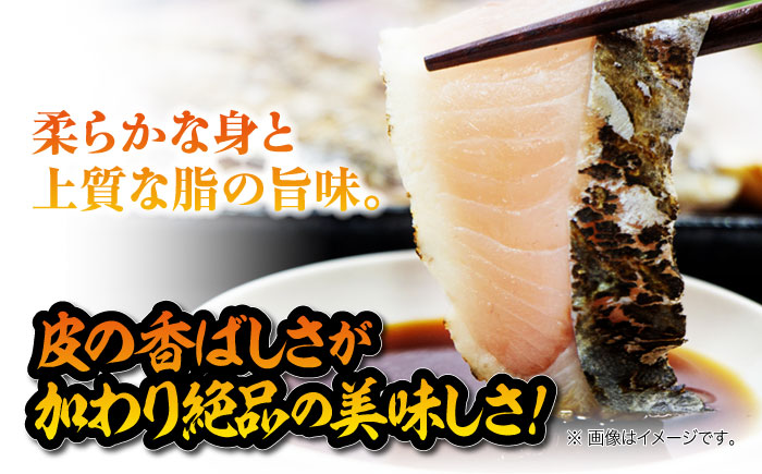 【ふっくら香ばしい】鰆の炙り満腹セット＜秋宝丸＞江田島市 [XCK003] お肉・魚介