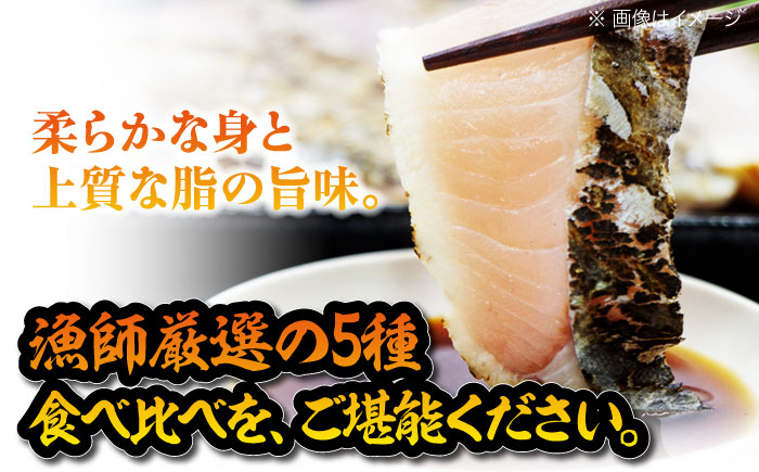 【鮮度革命】 こだわり冷凍保存！豪華海の幸バラエティ5種セット 魚 料理 和食 簡単 レシピ 魚介類 海産物 海鮮 刺身 ギフト 江田島市/秋宝丸 [XCK004] お肉・魚介