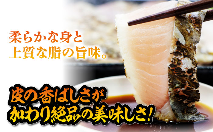 【年内発送】ふっくら香ばしい！鰆の炙り まろやかな旨味 柵セット 魚 冷凍 刺身 海鮮 西京焼き 簡単 新鮮 魚介 海鮮 急速冷凍 魚介類 江田島市/秋宝丸 [XCK007]