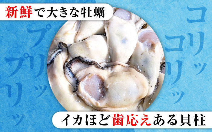 高品質の牡蠣を産地直送！ 【生牡蠣】【着日指定可能】『てつまるかき』牡蠣 殻付き 40個 加熱用 かき 海鮮 海産物 簡単 広島県産 江田島市/有限会社テツマル海産 [XCO008]