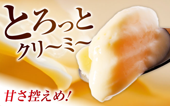 MIKIYO豆乳プリンオリジナル 6個 豆腐 とうふ スイーツ お菓子 プリン 江田島市/徳永豆腐店 [XCQ002]