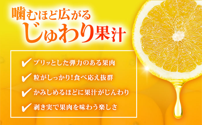 八朔 2kg 小玉 江田島市産 ハッサク はっさく 広島 みかん ミカン 柑橘 柑橘類 果物 くだもの フルーツ 家庭用 濃厚 デザート 旬 国産 ハルテラス農園/江田島市 [XCX001]