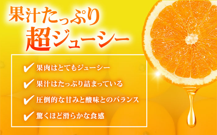 不知火 2kg しらぬい 小玉 デコポン 江田島市産 広島 みかん ミカン 柑橘 柑橘類 果物 くだもの フルーツ 家庭用 濃厚 デザート 旬 国産 ハルテラス農園/江田島市 [XCX002]