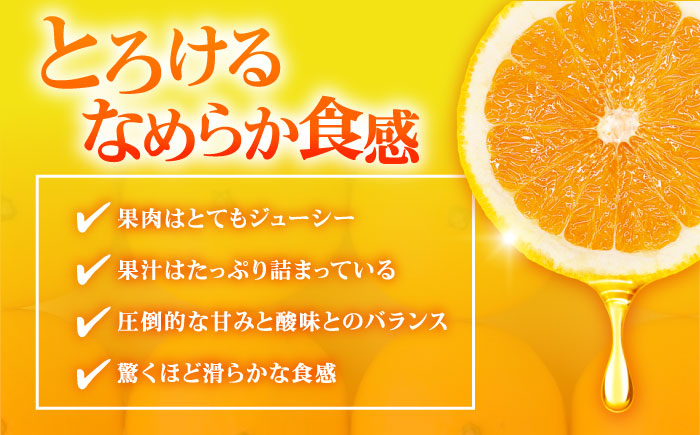 早生みかん 3kg 小玉 わせみかん わせ 江田島産 広島 みかん ミカン 柑橘 柑橘類 果物 くだもの フルーツ 家庭用 濃厚 デザート 旬 特産品 温州みかん 国産 江田島市/ハルテラス農園 [XCX003]