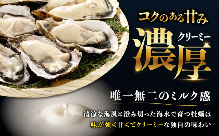 江田島ミルク牡蠣 殻付き 25個 加熱用 かき 広島県産 カキ 貝付き牡蠣 海鮮 贈呈用 BBQ 濃厚 新鮮 蒸し牡蠣 焼き牡蠣 グリル焼き 丸杉水産/江田島市 [XCY003]