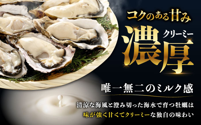江田島ミルク牡蠣 真空パック 殻付カキ5個入り 5パック 人気 レンジ調理 簡単 レンジ 加熱用 かき 広島県産 カキ 貝付き牡蠣 海鮮 贈呈用 BBQ 濃厚 新鮮 蒸し牡蠣 丸杉水産/江田島市 [XCY007]