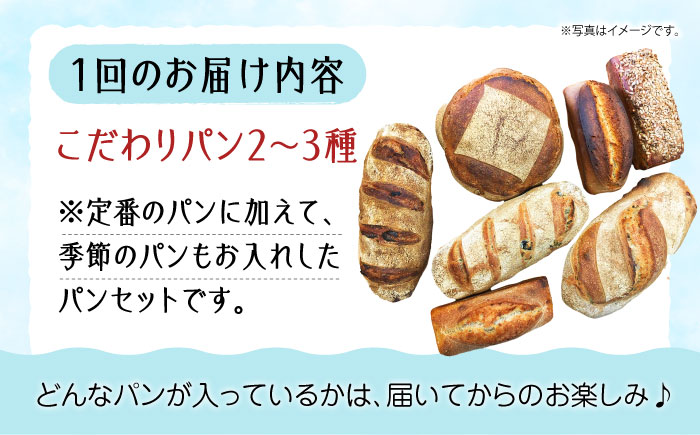 こだわりの石窯焼き！【全12回定期便】こだわり石窯パン 詰め合わせ (2～3種) パン パン屋 カフェ 朝食 おやつ 江田島市/しまのぱん souda！ [XAQ006] 定期便