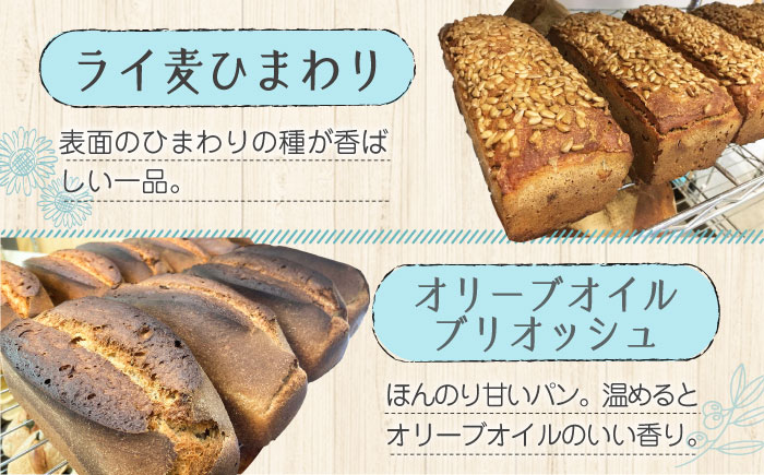 こだわりの石窯焼き！【全3回定期便】江田島のパン屋のこだわりパン 詰め合わせ Bセット (計9個) パン パン屋 カフェ 朝食 おやつ 江田島市/しまのぱん souda！ [XAQ010] 定期便