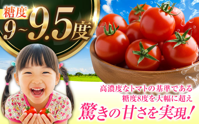 自然を活用した低農薬栽培！江田島ロマーノ トマト 2kg 江田島市/有限会社グリーンファーム沖美[XAB005] 野菜 果物
