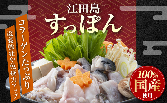 【年内発送】【お歳暮対象】安心安全な国産の最高級食材！江田島すっぽん 切り身400g 江田島市/平井興産株式会社 [XAC002] お肉 魚介