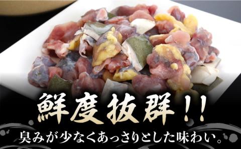 【全3回定期便】生きたまま届く最高級食材！江田島育ちのすっぽん【活き】 江田島市/平井興産株式会社[XAC007] 定期便