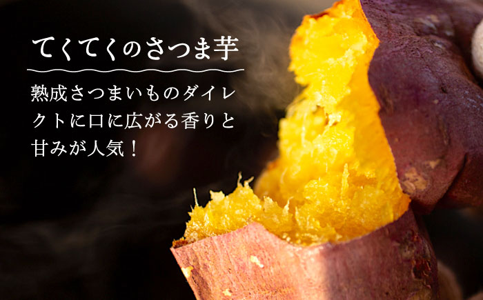 【全3回定期便】気づけばぺろり必至！てくてくのさつまいもたると ホール5号×2個セット 江田島市/峰商事 合同会社[XAD070] 定期便