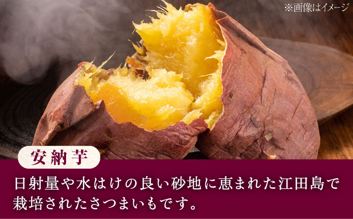 スイーツの香り！江田島の本格 芋焼酎 てくてく【安納芋】720ml×2本 さついまいも 人気 酒 食事 ギフト プレゼント 江田島市/峰商事 合同会社 [XAD075]