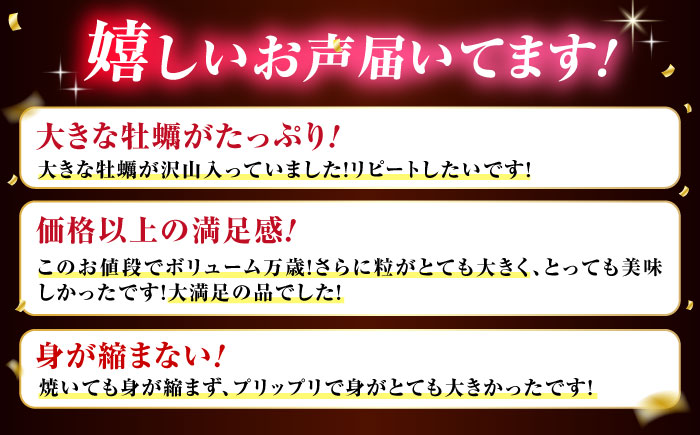 【年内発送】テレビで話題！冷凍カンカン焼き 牡蠣25個入り 江田島市/ 有限会社寺本水産[XAE011]